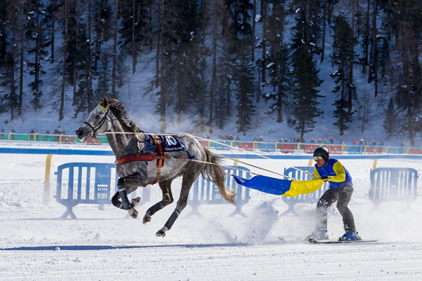 What Every First-Time Skijorer Needs to Know About Training Rides